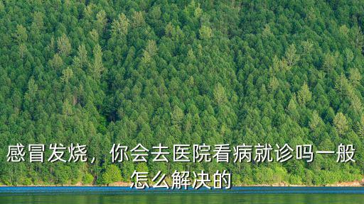 感冒發(fā)燒，你會去醫(yī)院看病就診嗎一般怎么解決的
