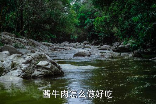不開封的醬牛肉怎么做好吃,醬牛肉怎么做好吃