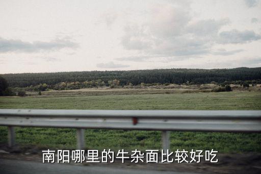 南陽哪里的牛雜面比較好吃