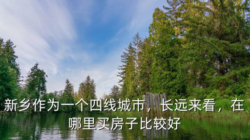 新鄉作為一個四線城市，長遠來看，在哪里買房子比較好