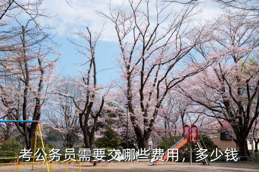 考公務(wù)員需要交哪些費用，多少錢