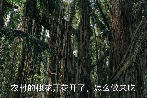農(nóng)村的槐花開花開了，怎么做來(lái)吃