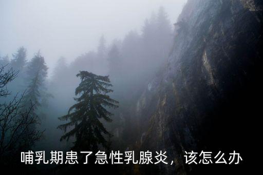 哺乳期患了急性乳腺炎，該怎么辦