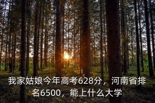 我家姑娘今年高考628分，河南省排名6500，能上什么大學