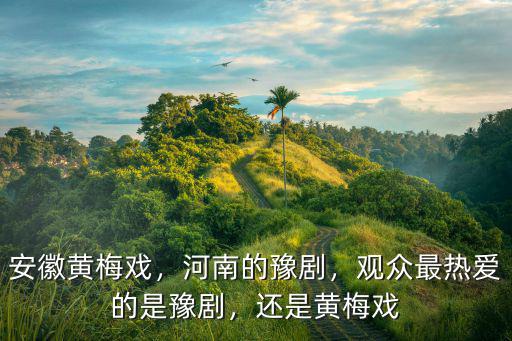 安徽黃梅戲，河南的豫劇，觀眾最熱愛的是豫劇，還是黃梅戲