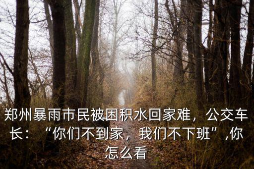 鄭州暴雨市民被困積水回家難，公交車長：“你們不到家，我們不下班”,你怎么看
