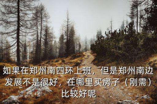如果在鄭州南四環上班，但是鄭州南邊發展不是很好，在哪里買房子（剛需）比較好呢