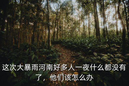 這次大暴雨河南好多人一夜什么都沒有了，他們該怎么辦