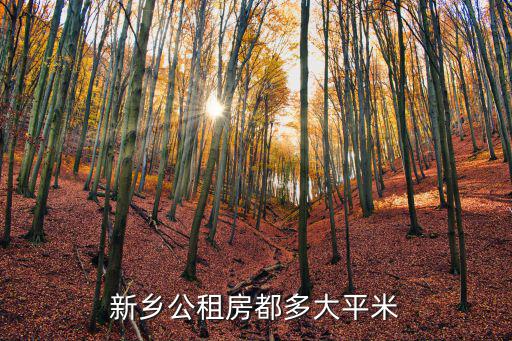 新鄉(xiāng)公租房都多大平米