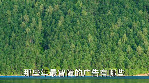 那些年最智障的廣告有哪些