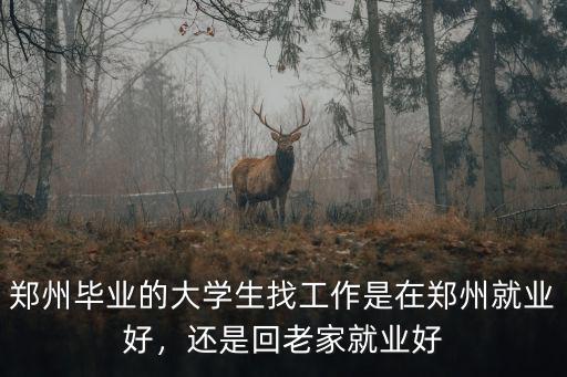 鄭州畢業(yè)去哪里找工作,應屆生想去鄭州找工作