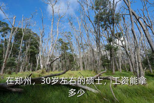鄭州碩士工資一般多少錢,工資大概能到多少錢