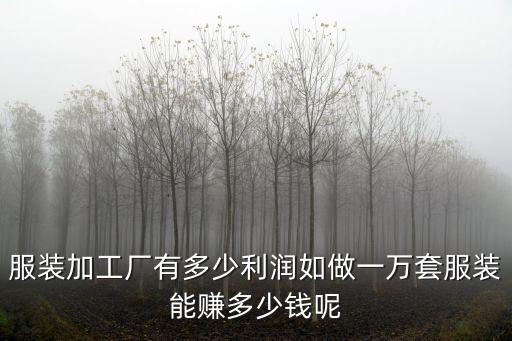 河南服裝加工多少錢一套,如做一萬套服裝能賺多少錢呢