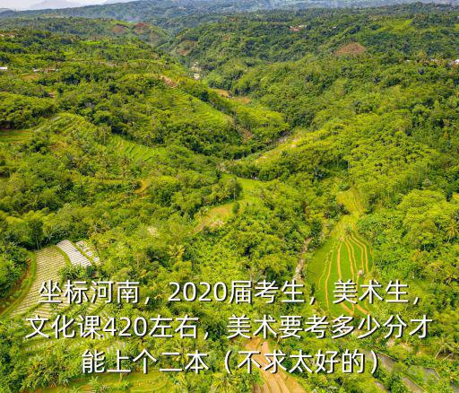 坐標河南，2020屆考生，美術生，文化課420左右，美術要考多少分才能上個二本（不求太好的）