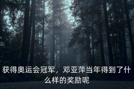 獲得奧運會冠軍，鄧亞萍當年得到了什么樣的獎勵呢