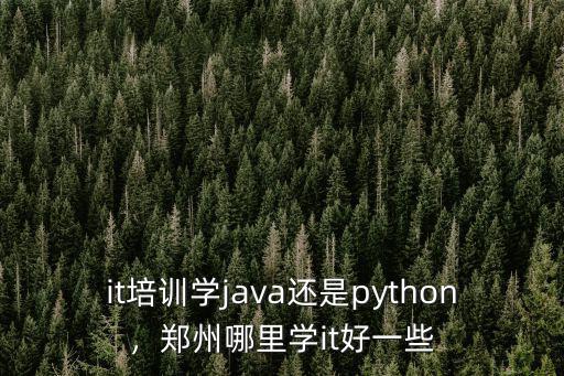 it培訓學java還是python，鄭州哪里學it好一些