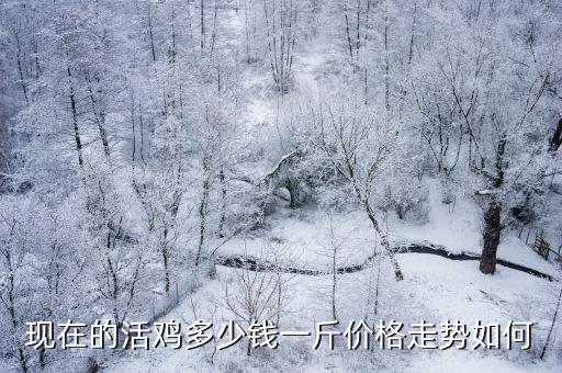 現在河南活雞多少錢一斤,現在的活雞多少錢一斤