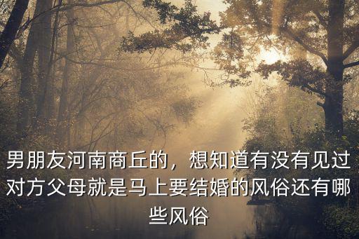 男朋友河南商丘的，想知道有沒有見過對方父母就是馬上要結婚的風俗還有哪些風俗