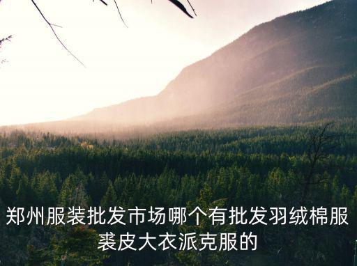 鄭州和上海的服裝批發(fā)市場(chǎng)在哪里,鄭州服裝批發(fā)市場(chǎng)在哪
