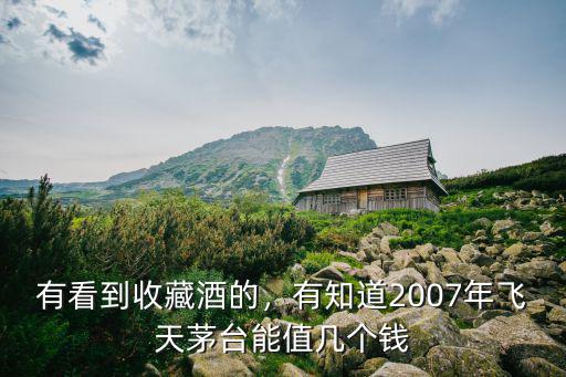 有看到收藏酒的，有知道2007年飛天茅臺(tái)能值幾個(gè)錢(qián)