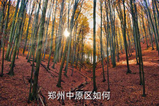 鄭州中原區如何