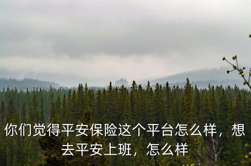 你們覺得平安保險這個平臺怎么樣，想去平安上班，怎么樣