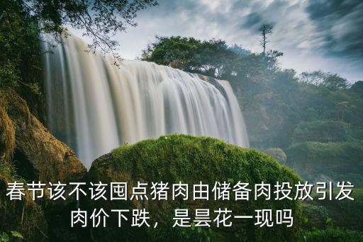 春節該不該囤點豬肉由儲備肉投放引發肉價下跌，是曇花一現嗎