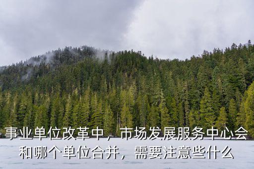 商丘市市場發(fā)展服務(wù)中心怎么改革,這次市場發(fā)展中心將如何改革