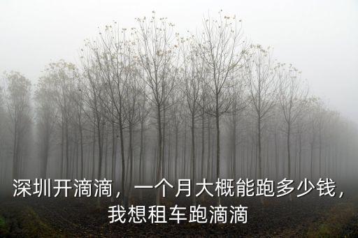 深圳開滴滴，一個(gè)月大概能跑多少錢，我想租車跑滴滴