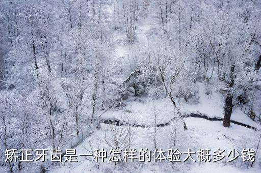 鄭州一副矯正牙套多少錢,隱形矯正牙齒需要多少錢