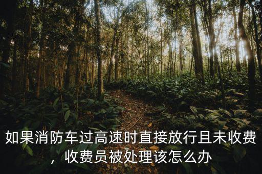如果消防車過高速時直接放行且未收費，收費員被處理該怎么辦
