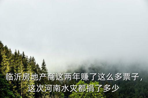 臨沂房地產商這兩年賺了這么多票子，這次河南水災都捐了多少