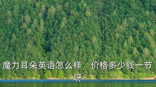 魔力耳朵英語怎么樣，價格多少錢一節呀