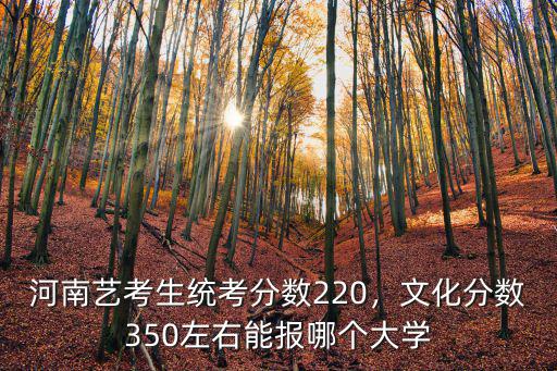河南藝考生統考分數220，文化分數350左右能報哪個大學