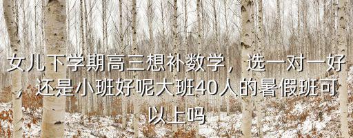 洛陽(yáng)高三暑假班哪里好,高中生暑假去哪里旅游最好