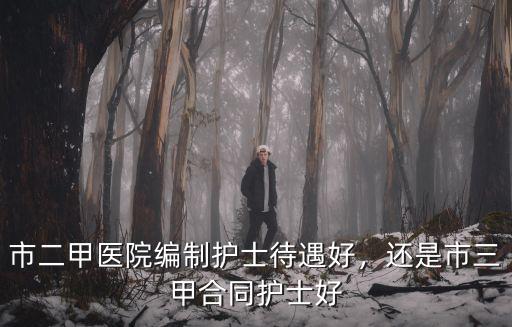 市二甲醫院編制護士待遇好，還是市三甲合同護士好