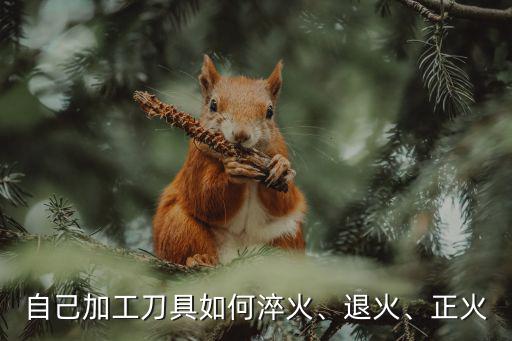 自己加工刀具如何淬火、退火、正火