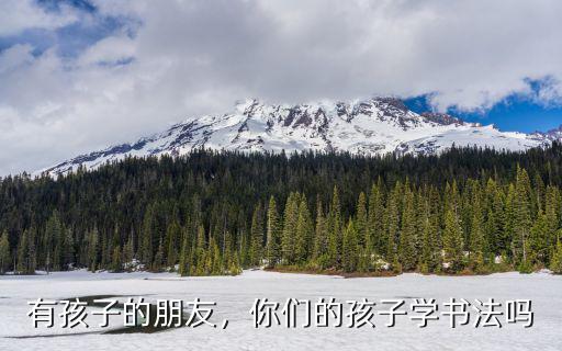 有孩子的朋友，你們的孩子學書法嗎