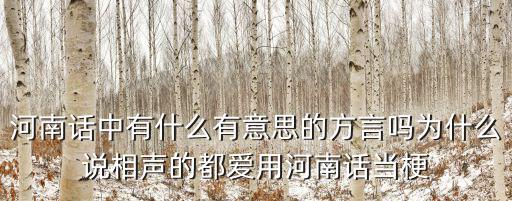 河南話中有什么有意思的方言嗎為什么說(shuō)相聲的都愛用河南話當(dāng)梗