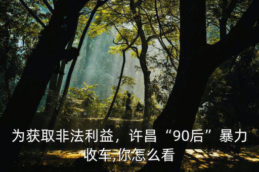 為獲取非法利益，許昌“90后”暴力收車,你怎么看