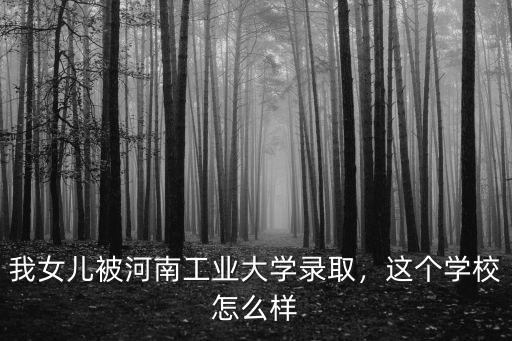 河南工業(yè)大學(xué)網(wǎng)怎么樣,河南工業(yè)大學(xué)電信學(xué)院怎么樣