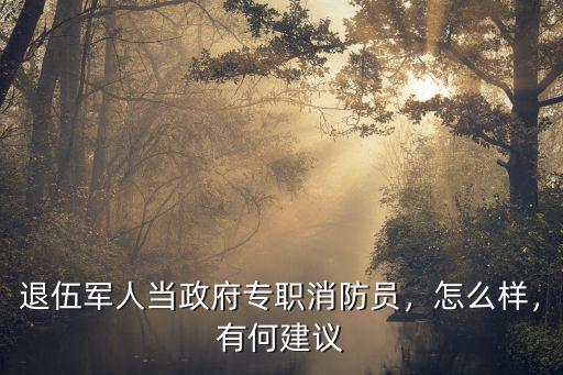 退伍軍人當(dāng)政府專職消防員，怎么樣，有何建議