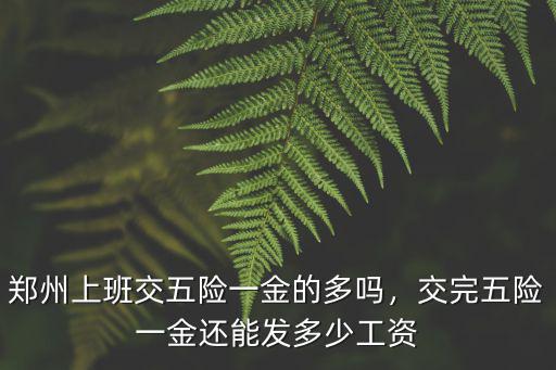 鄭州上班交五險一金的多嗎，交完五險一金還能發多少工資