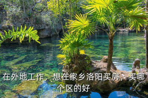 在外地工作，想在家鄉(xiāng)洛陽買房，買哪個區(qū)的好
