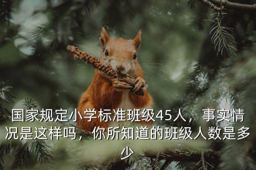 國家規定小學標準班級45人，事實情況是這樣嗎，你所知道的班級人數是多少