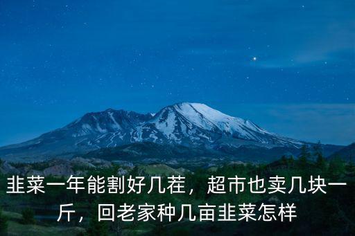 河南種韭菜多少錢一斤,紅根韭菜種子多少錢一斤