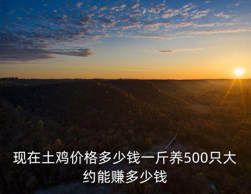 現在土雞價格多少錢一斤養500只大約能賺多少錢