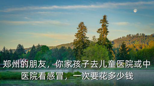 鄭州的朋友，你家孩子去兒童醫院或中醫院看感冒，一次要花多少錢