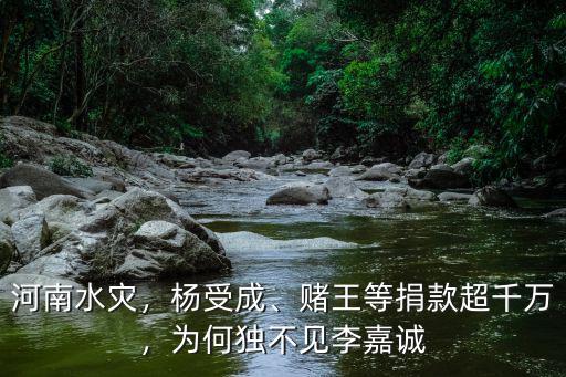 河南水災，楊受成、賭王等捐款超千萬，為何獨不見李嘉誠