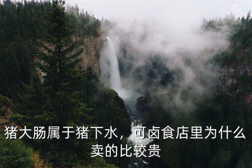 周口哪里有賣豬大腸的,豬大腸屬于豬下水